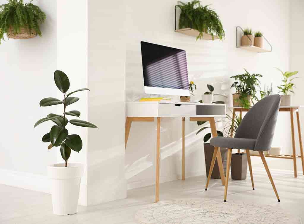Working from home: Plan your perfect home office