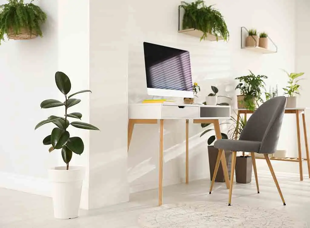 Working from home: Plan your perfect home office