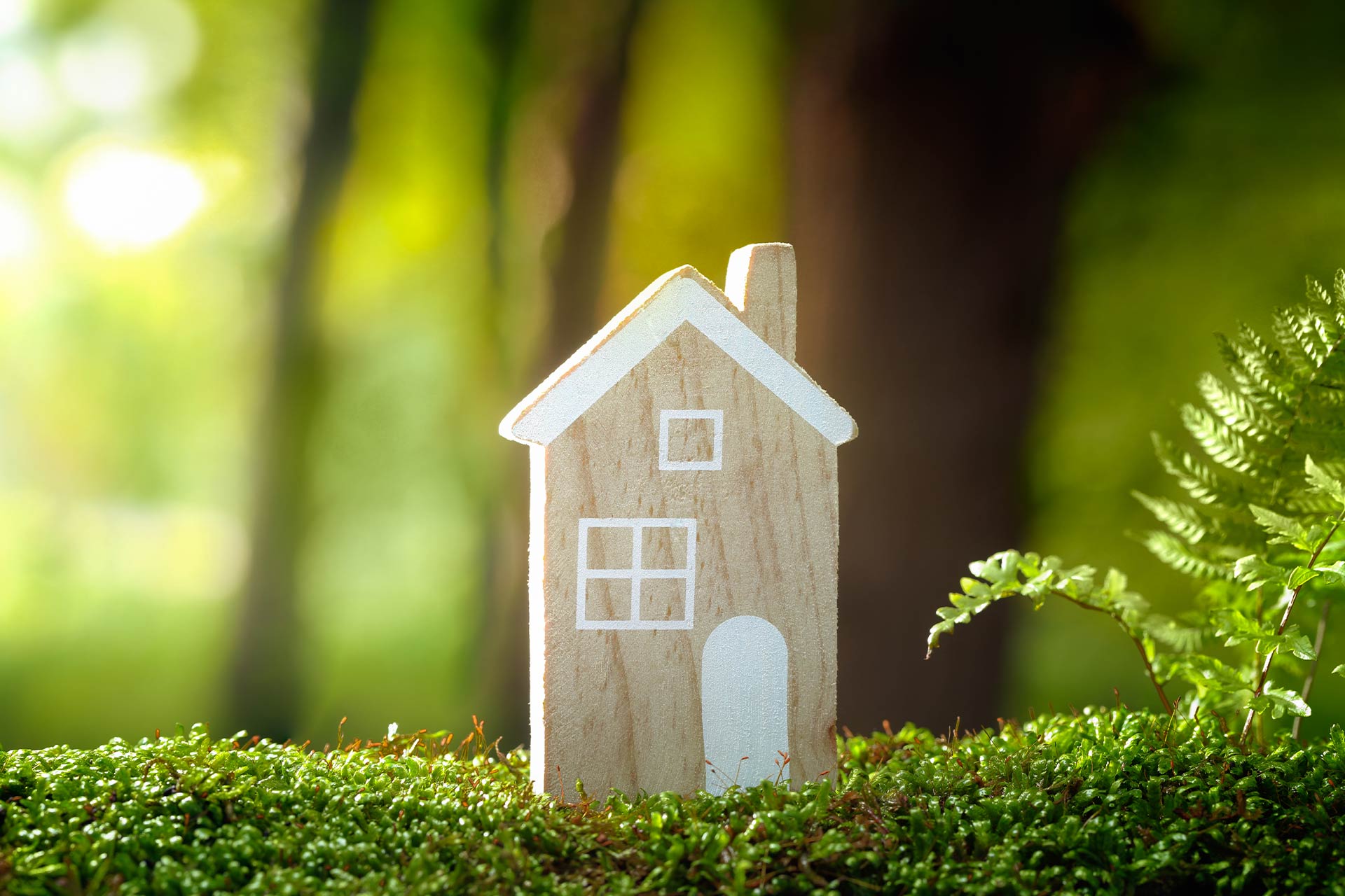 Green home ideas: Eco friendly inspiration for a sustainable home