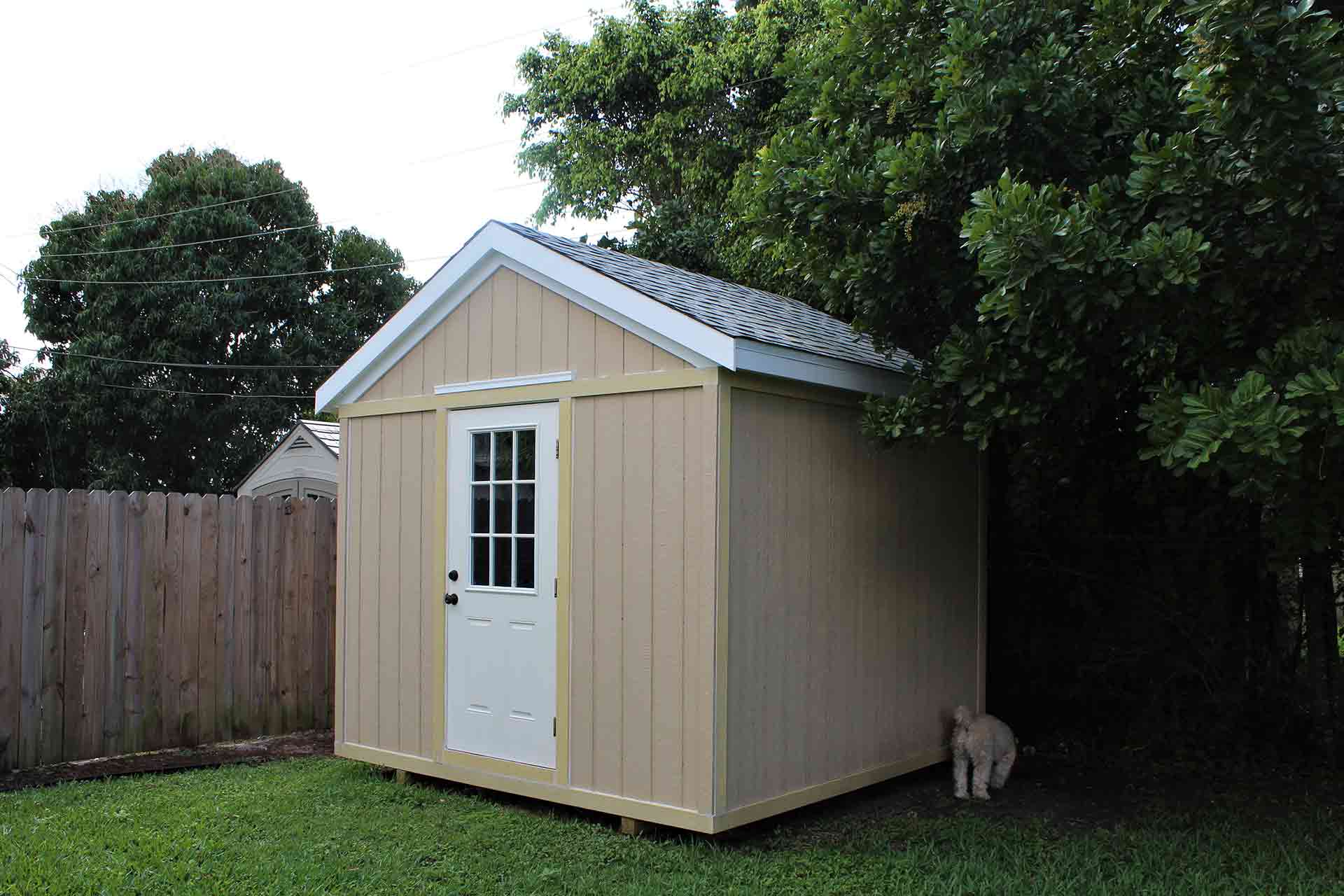Plastic shed cost guide