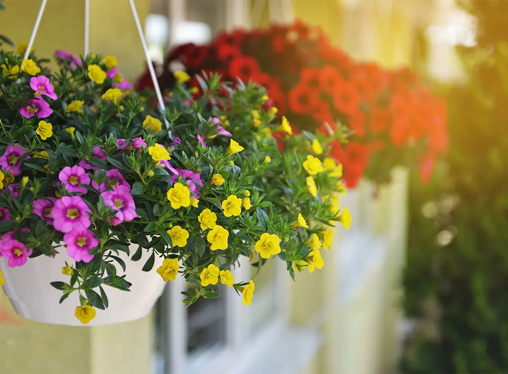 Low-maintenance garden solutions