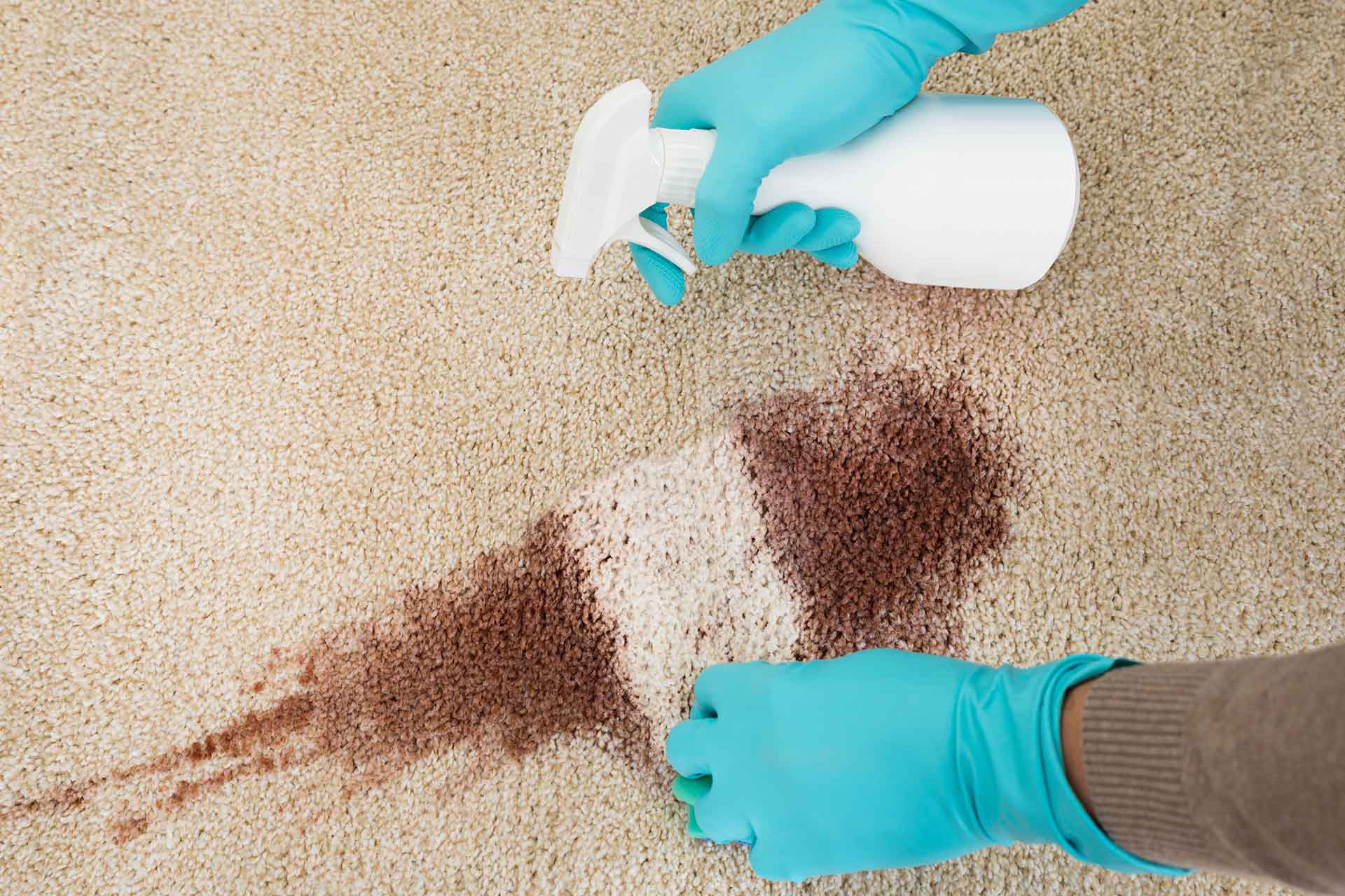 How to clean a carpet