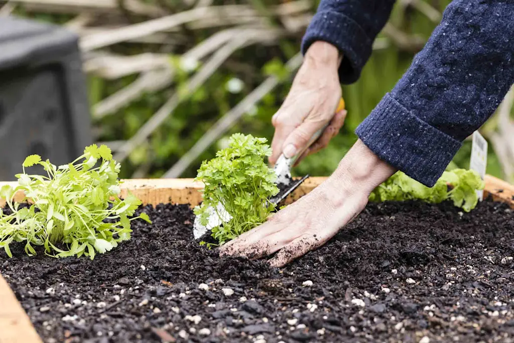 Cost of building a raised garden bed