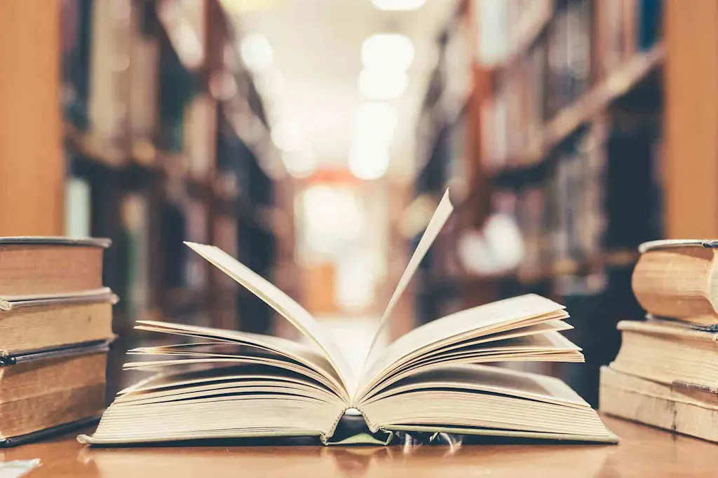 World Book Day: 6 ideas and costs for the perfect reading retreat