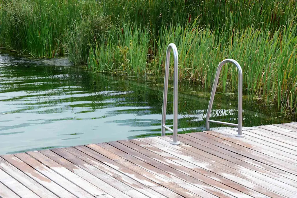 Swimming pond cost