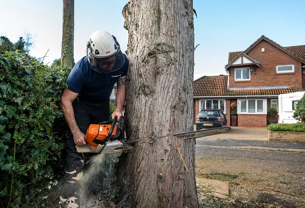 What tradespeople need to know about power tools and safety