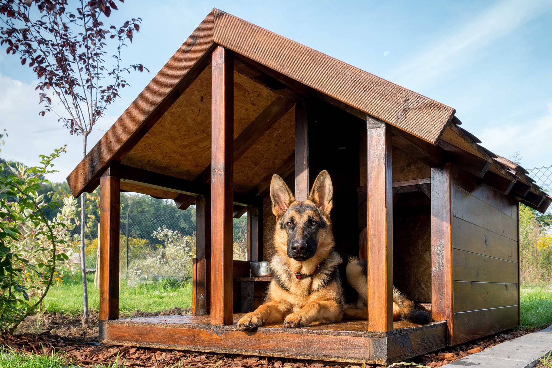 How much does it cost to build a dog kennel?
