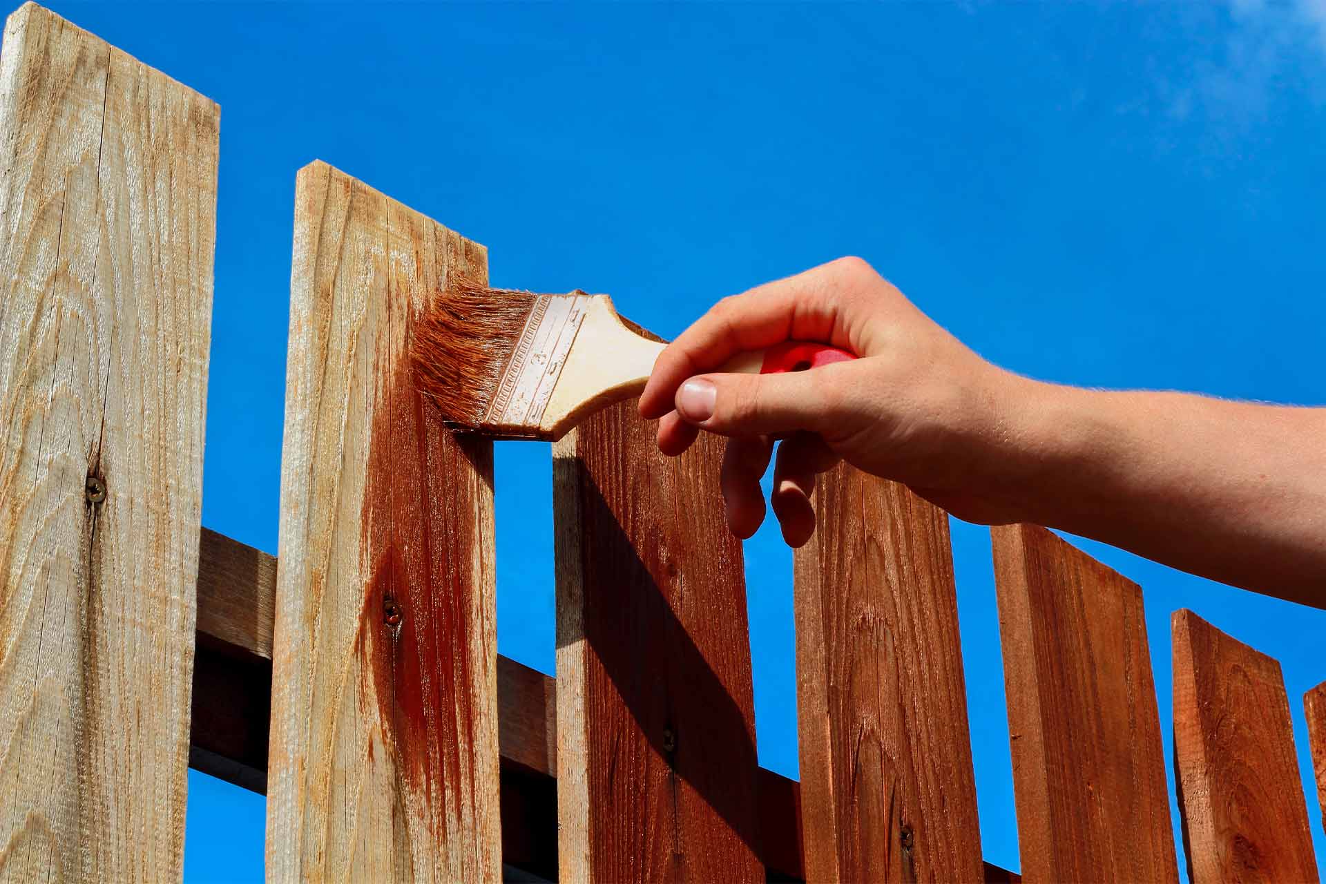 Fence painting cost guide