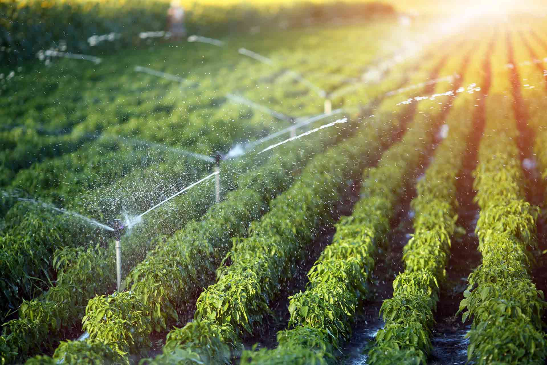 Irrigation system cost guide