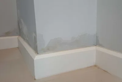 How to treat damp walls internally