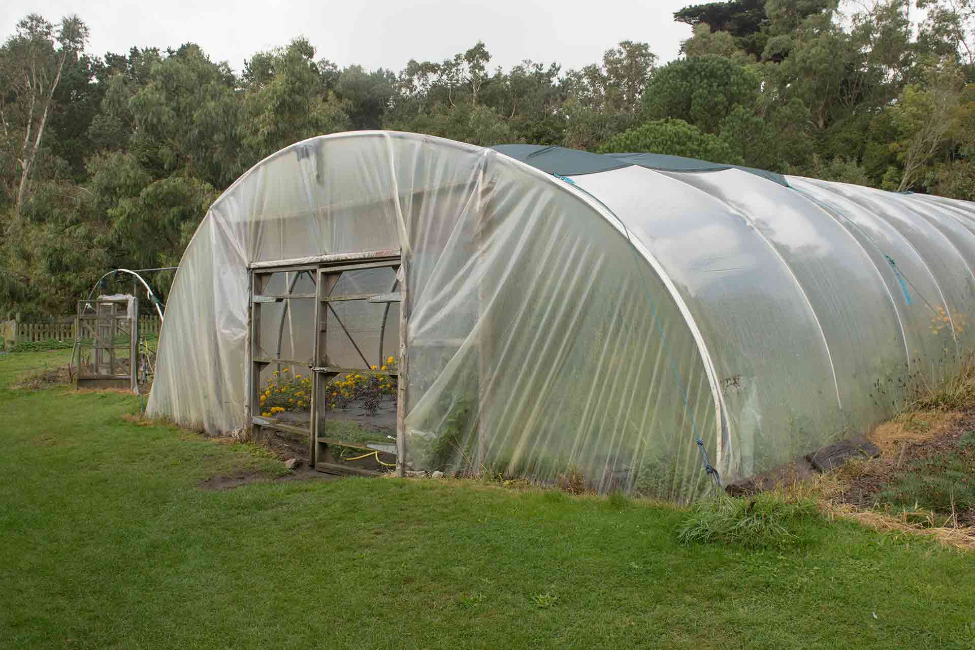 Polytunnel cost guide