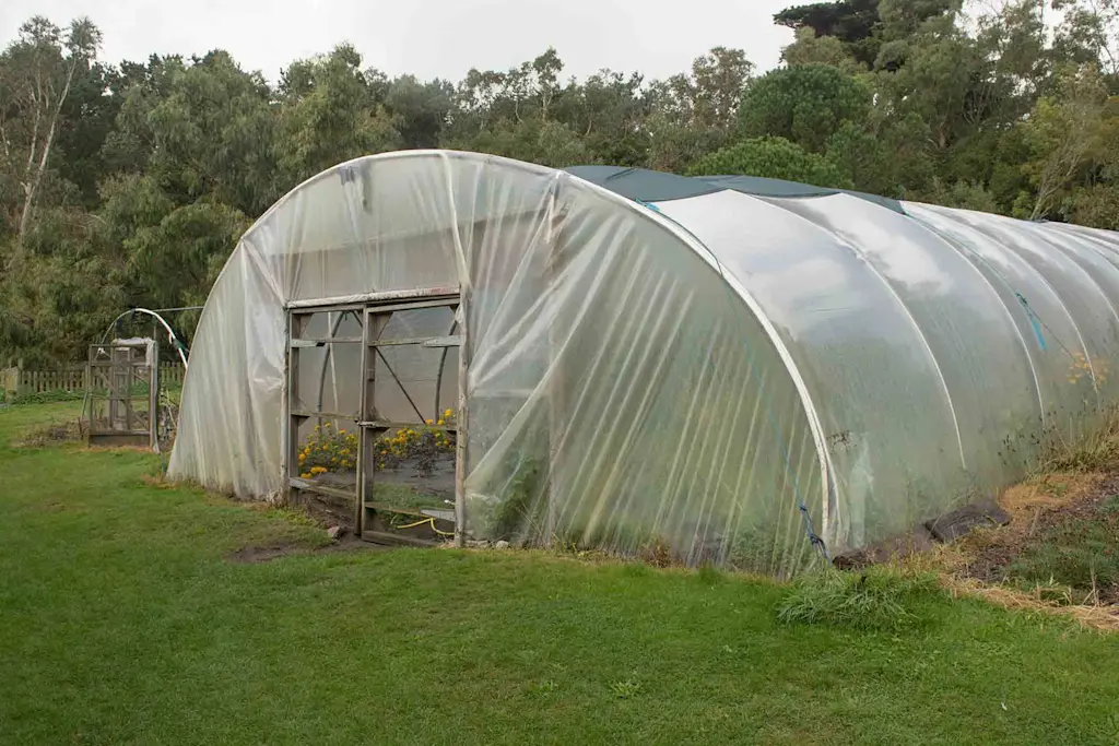 Polytunnel cost guide