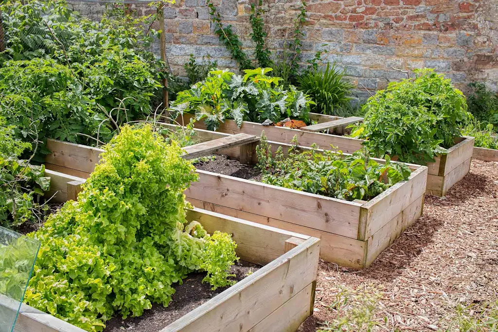 6 cheap garden ideas worth the non-investment