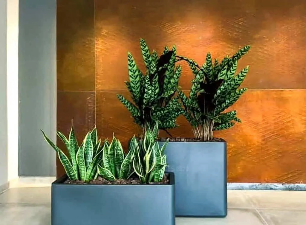 Concrete wallpaper – How to create the industrial look at home