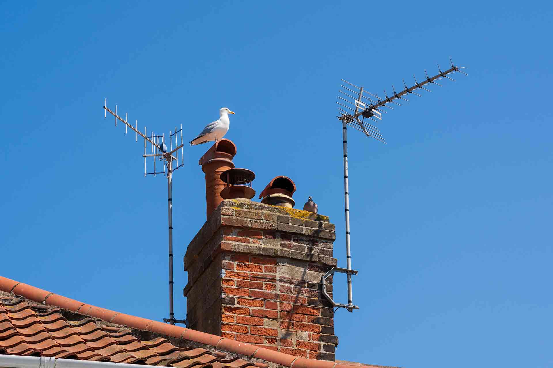 Cost to remove a TV aerial