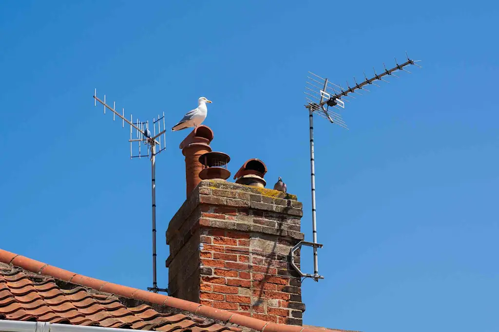 Cost to remove a TV aerial