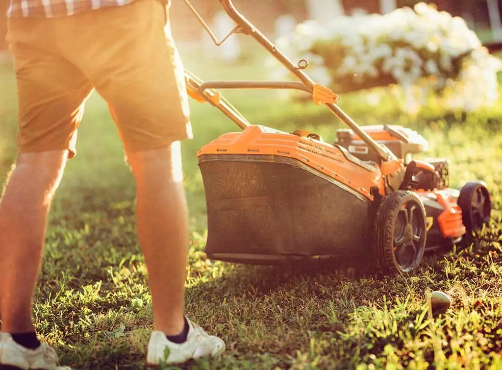 Lawn mowing tips: How to make your grass look great