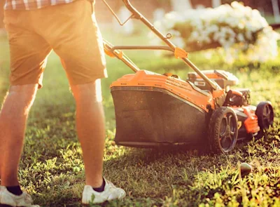 Lawn mowing tips: How to make your grass look great