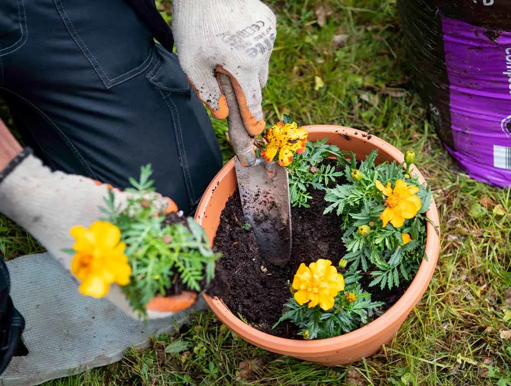 How to market your gardening business
