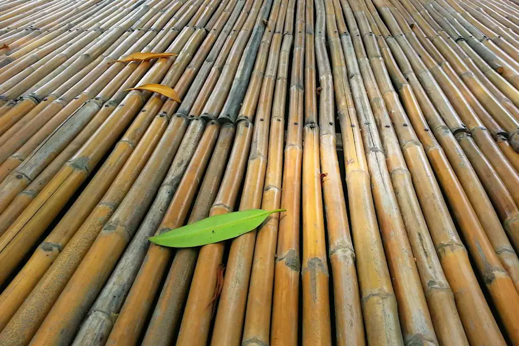 Bamboo flooring cost guide
