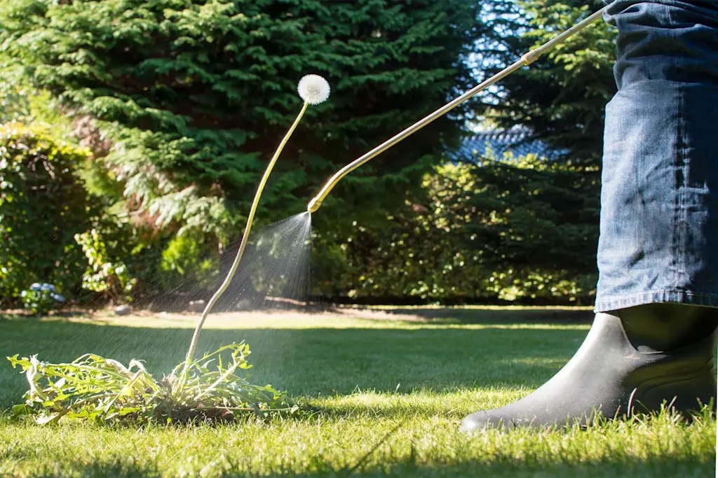 Lawn treatment service cost guide