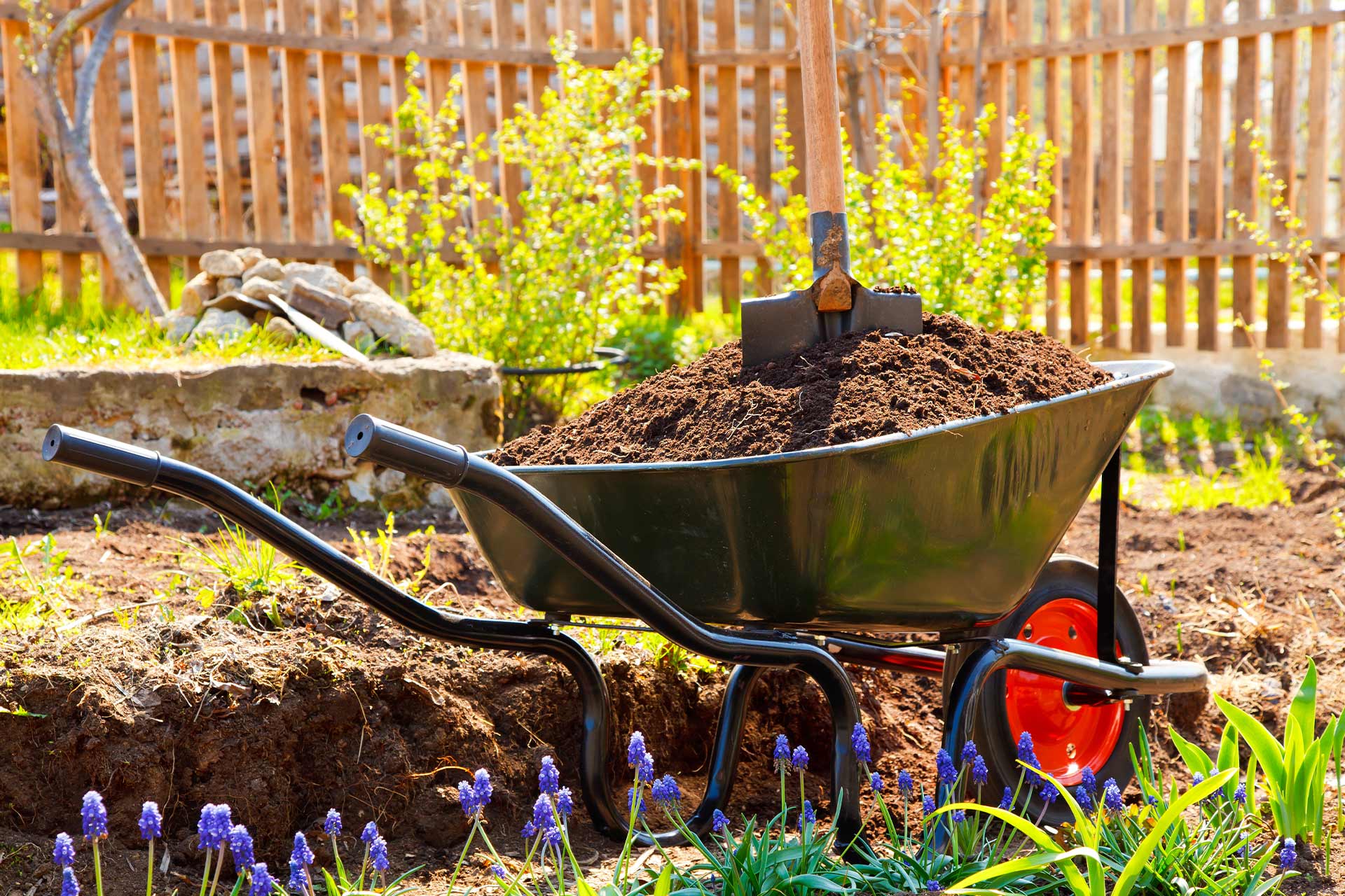 Garden clearance cost guide