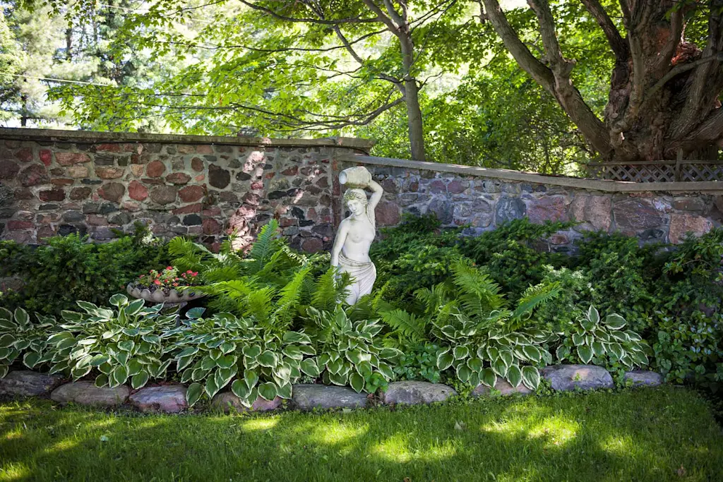 North facing gardens – All you need to know