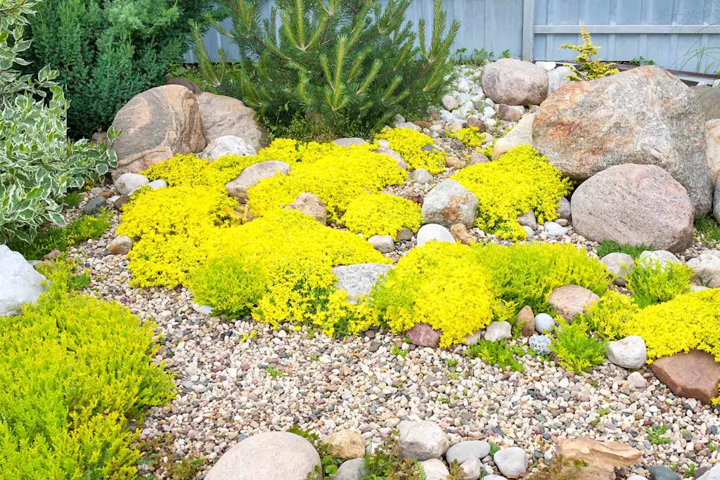 Landscaping rock installation cost