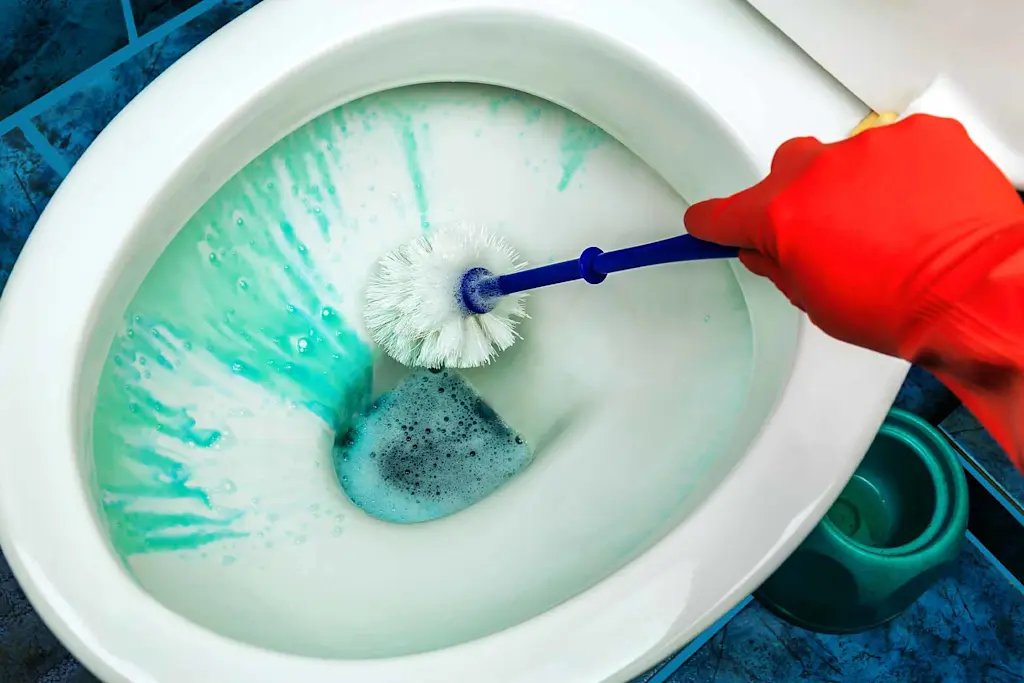 How to clean a toilet in 7 steps