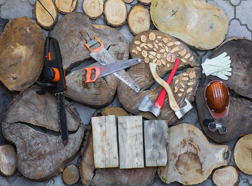 How to become a tree surgeon