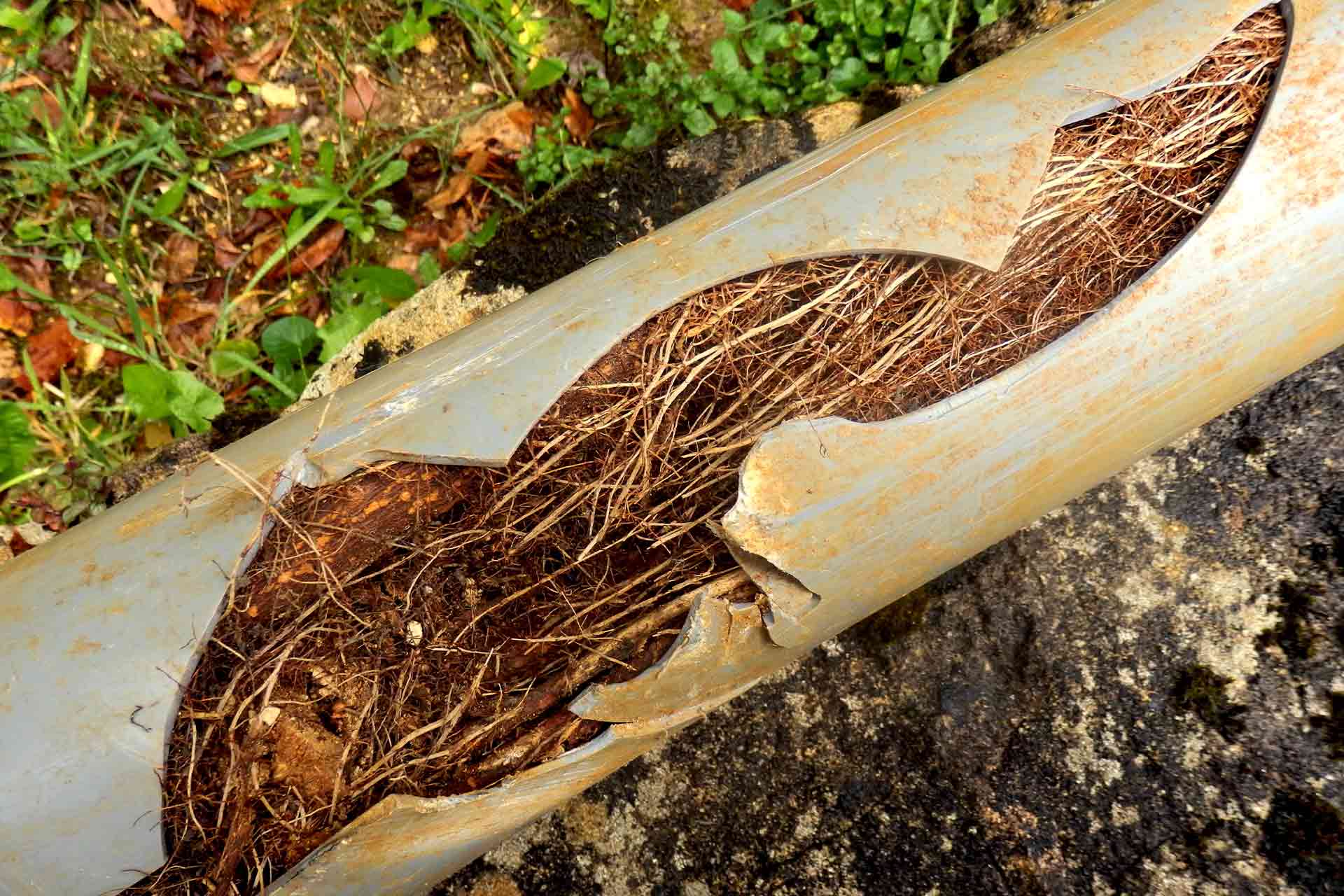 Collapsed drain repair cost guide