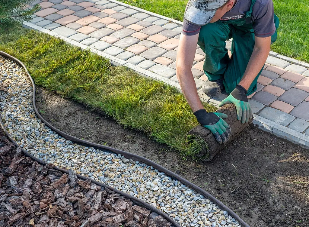 Garden landscaper laying fresh turf
