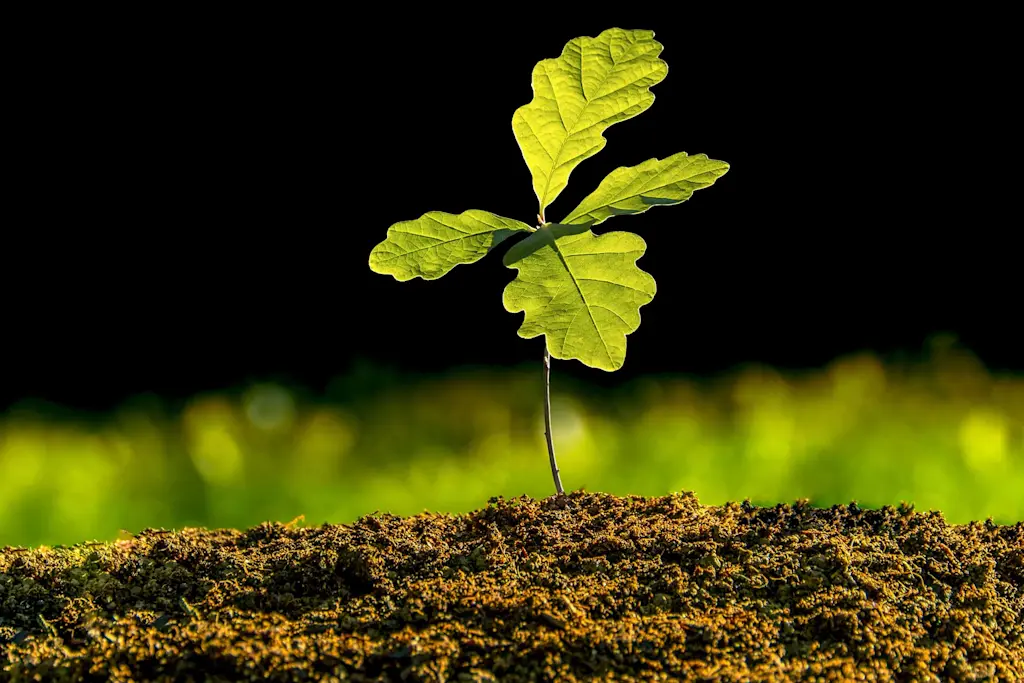 What are the best tree protection products for landscapers?