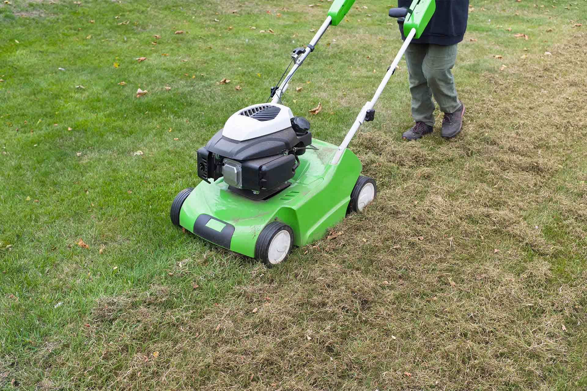 What&#8217;s the cost of lawn scarification?