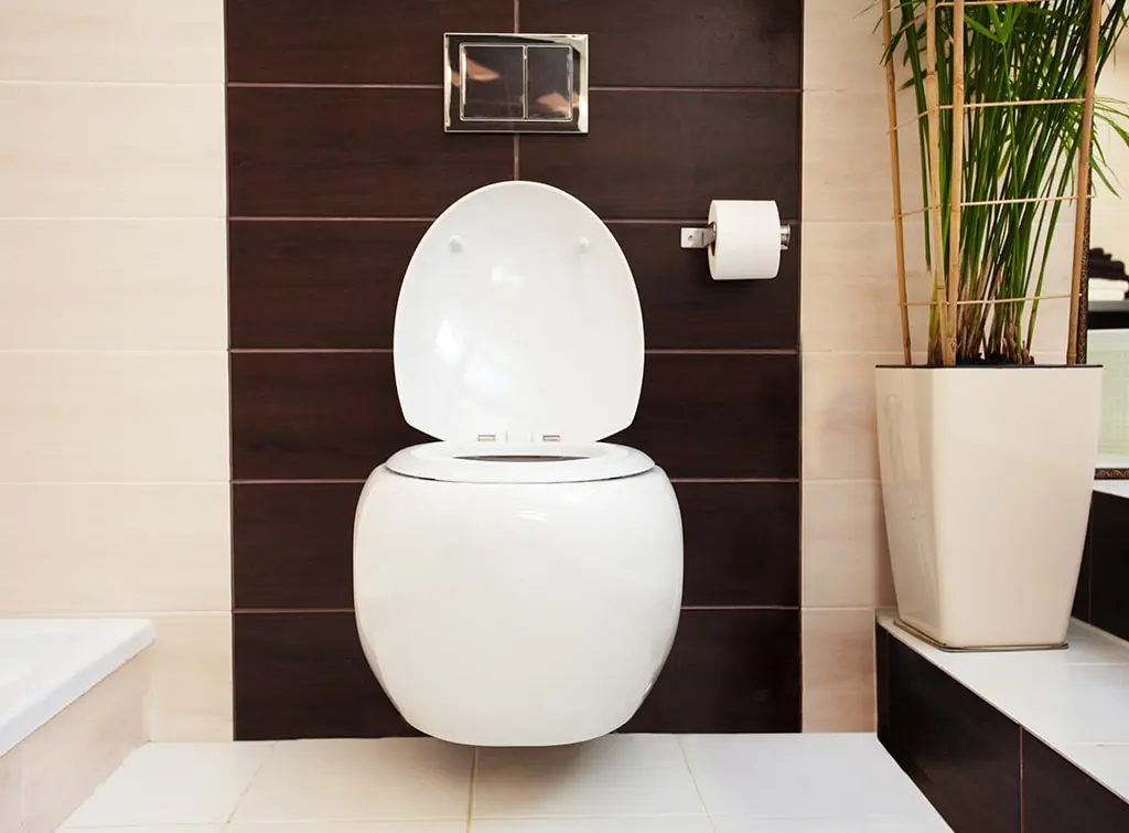 Concealed cistern toilet problems and how to fix them