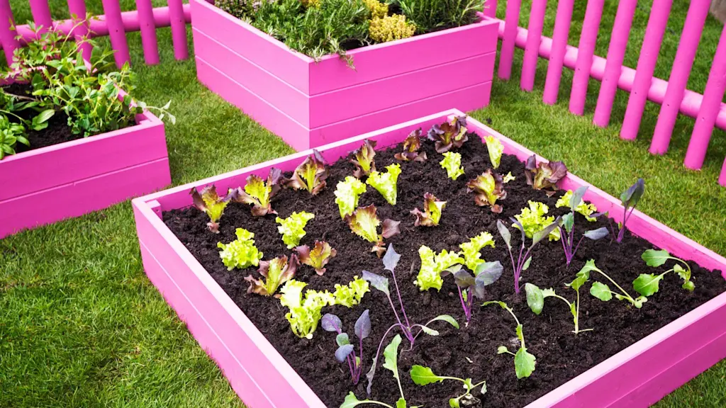 A guide to growing your own fruit and veg