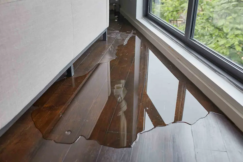 How to repair water damaged floors