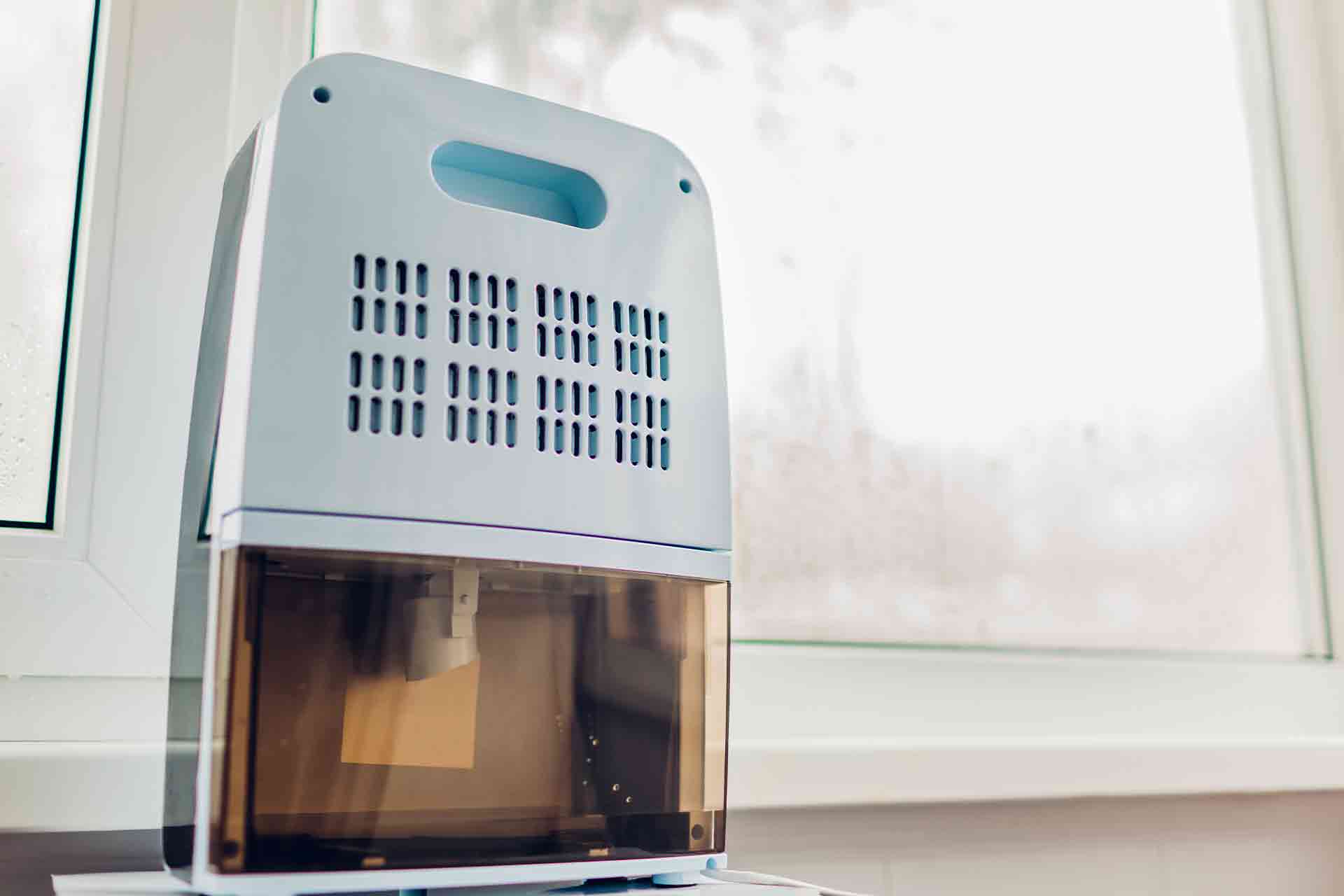 Dehumidifier hire prices in 2024