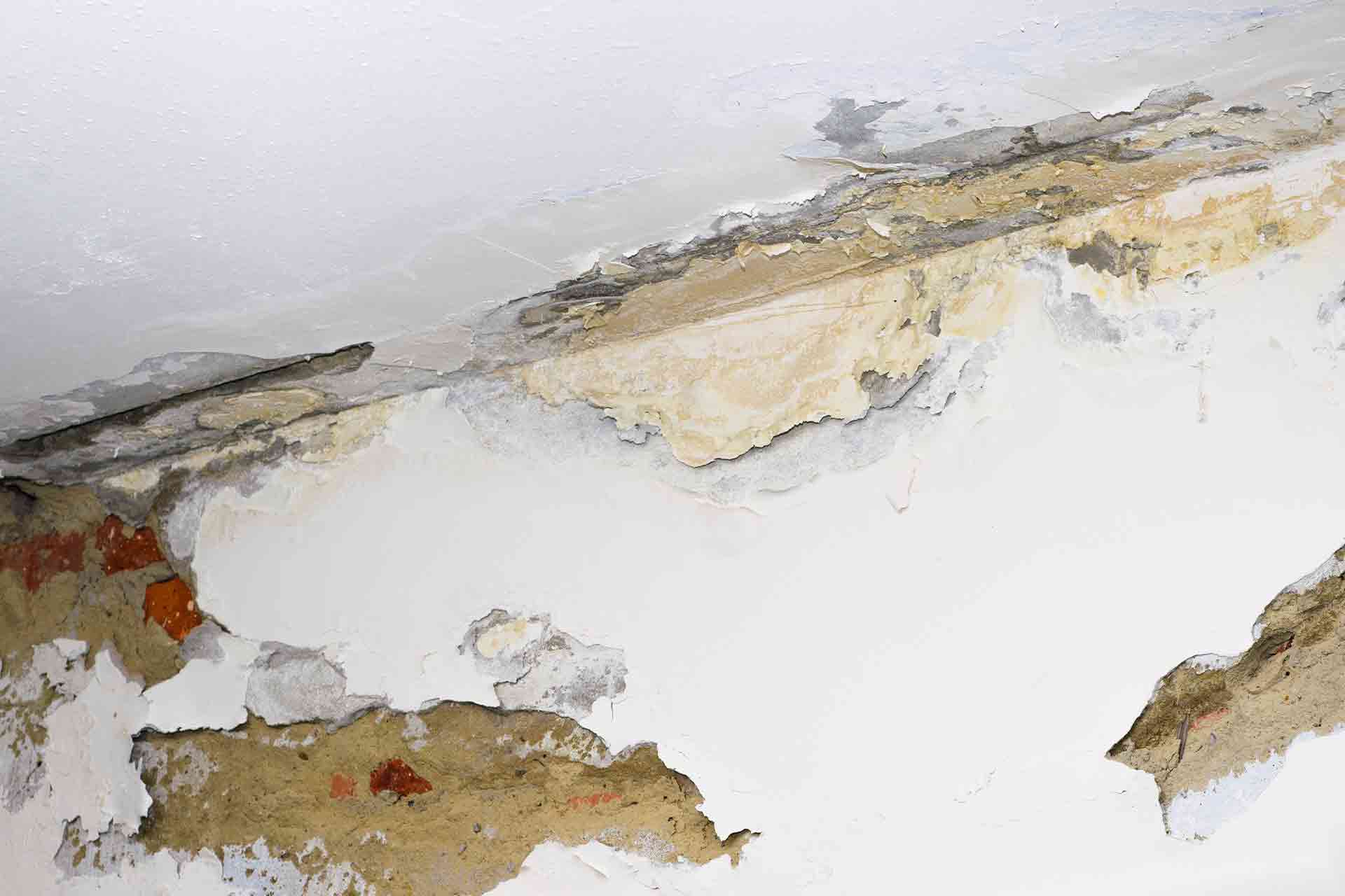 Damp survey cost guide