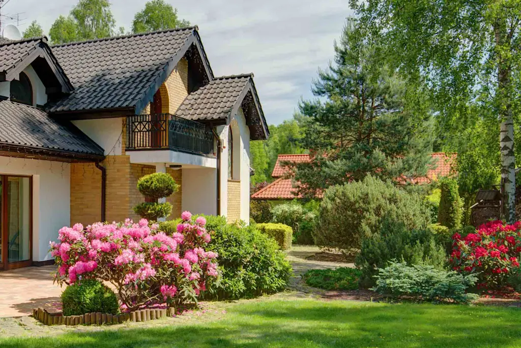 Modern garden ideas