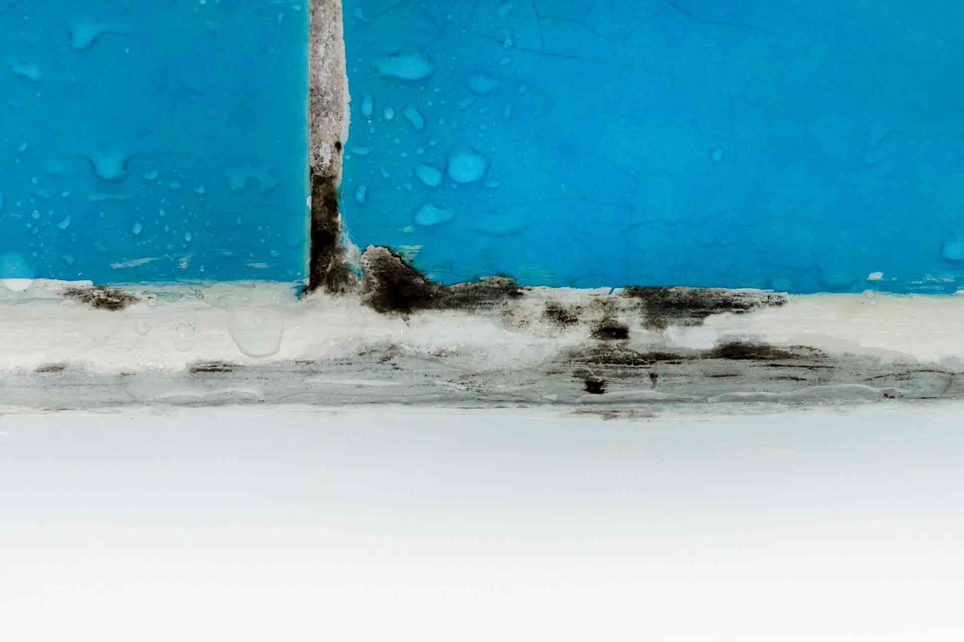 How to get rid of damp smells