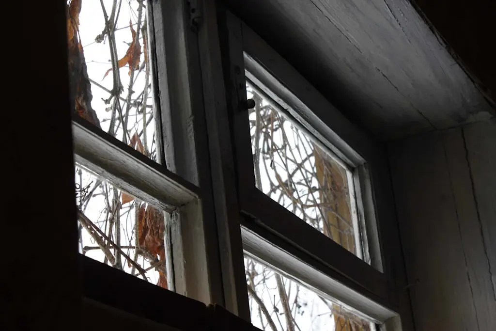 Who do I call out for a leak above window?