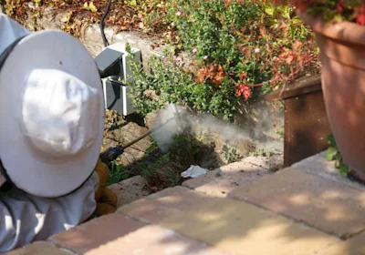 pest-control-technician-spraying-garden-bed