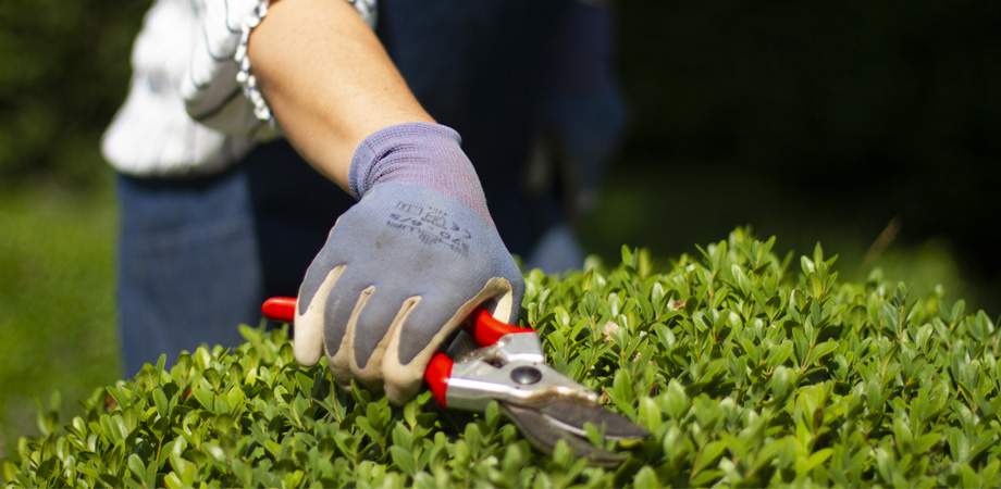 Looking for garden ideas? Think about bringing the inside outside