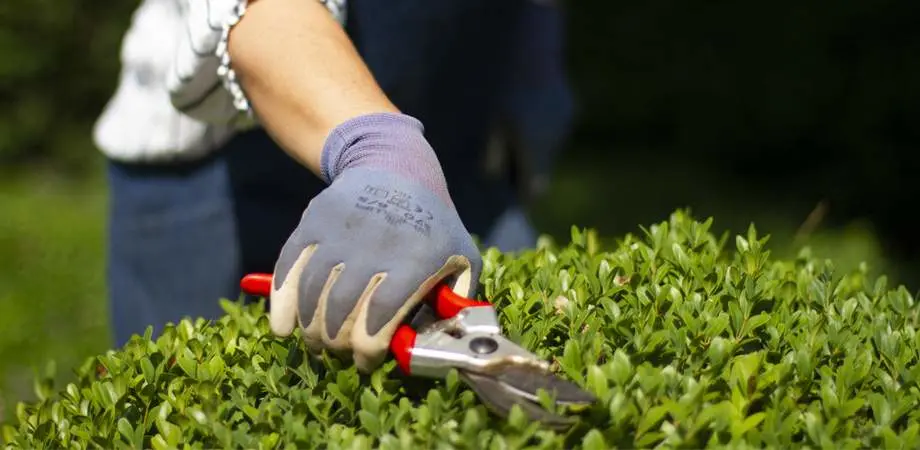 Looking for garden ideas? Think about bringing the inside outside