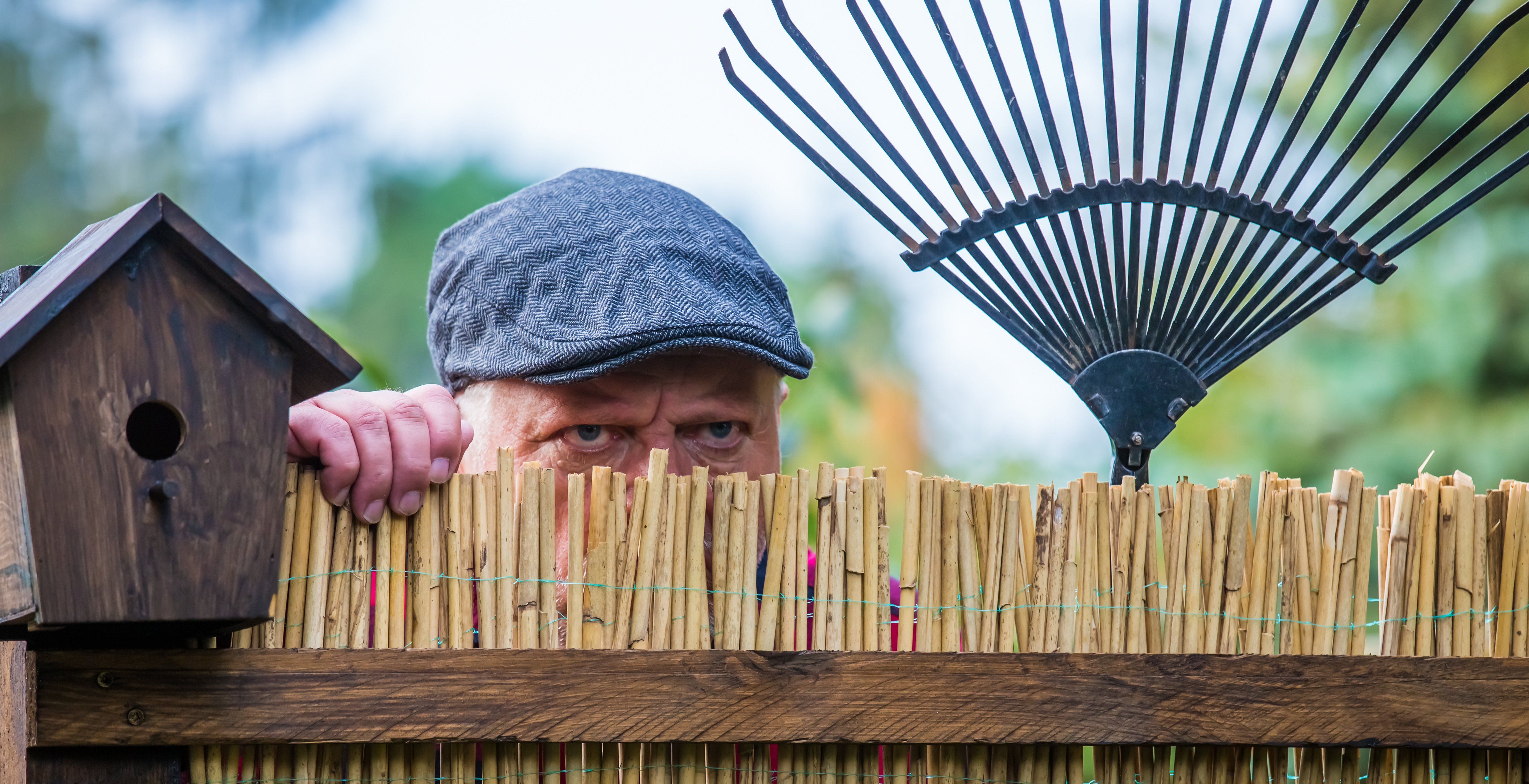 Garden Rows: Millions of Brits fall out with their neighbours over their gardens each year. Could you be on the wrong side of the law?