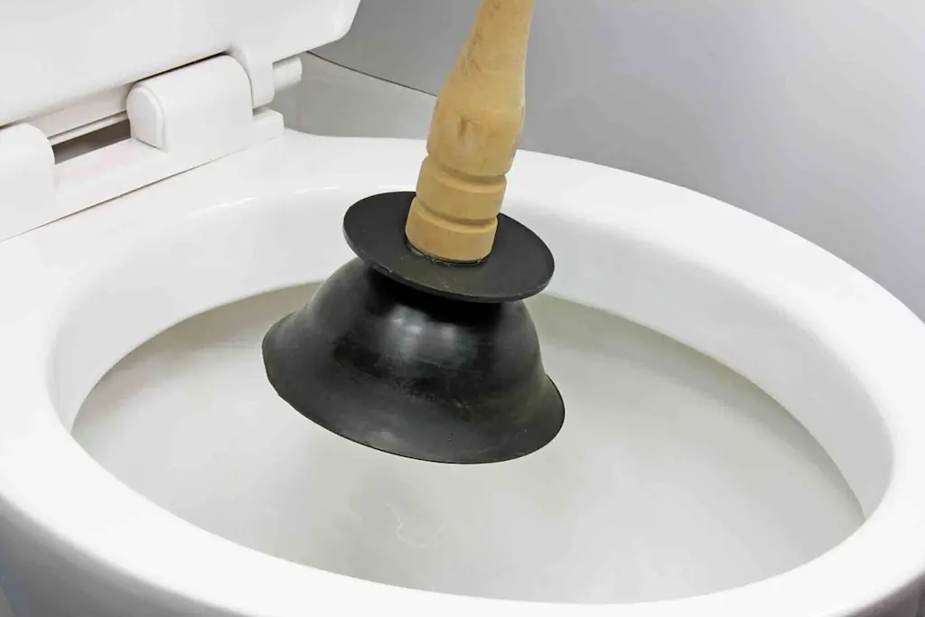 How to unblock a toilet