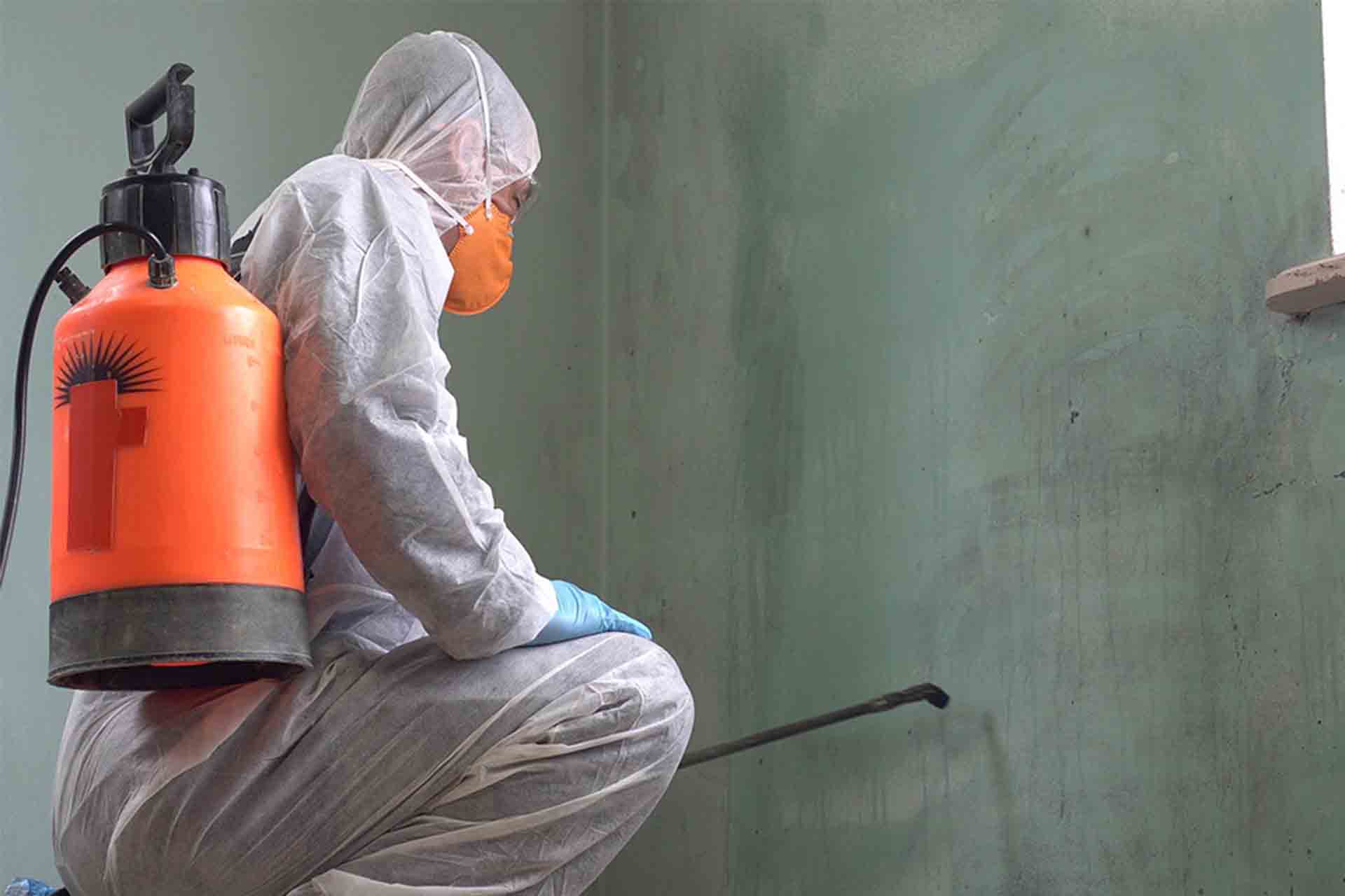 Preventing mould on walls