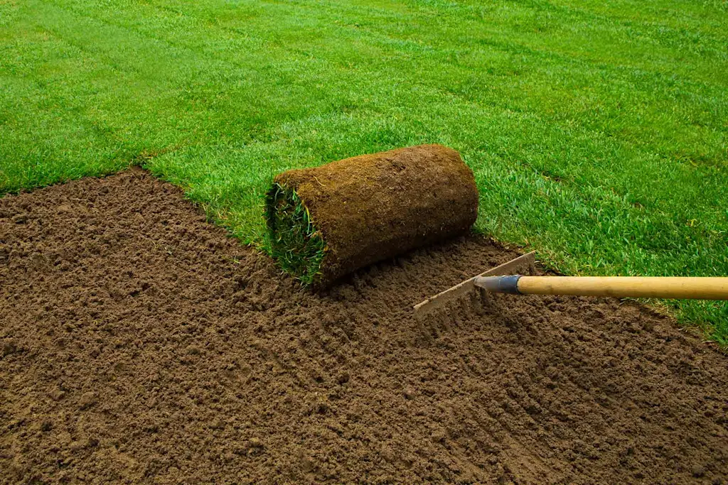 How to lay turf: Keeping it green