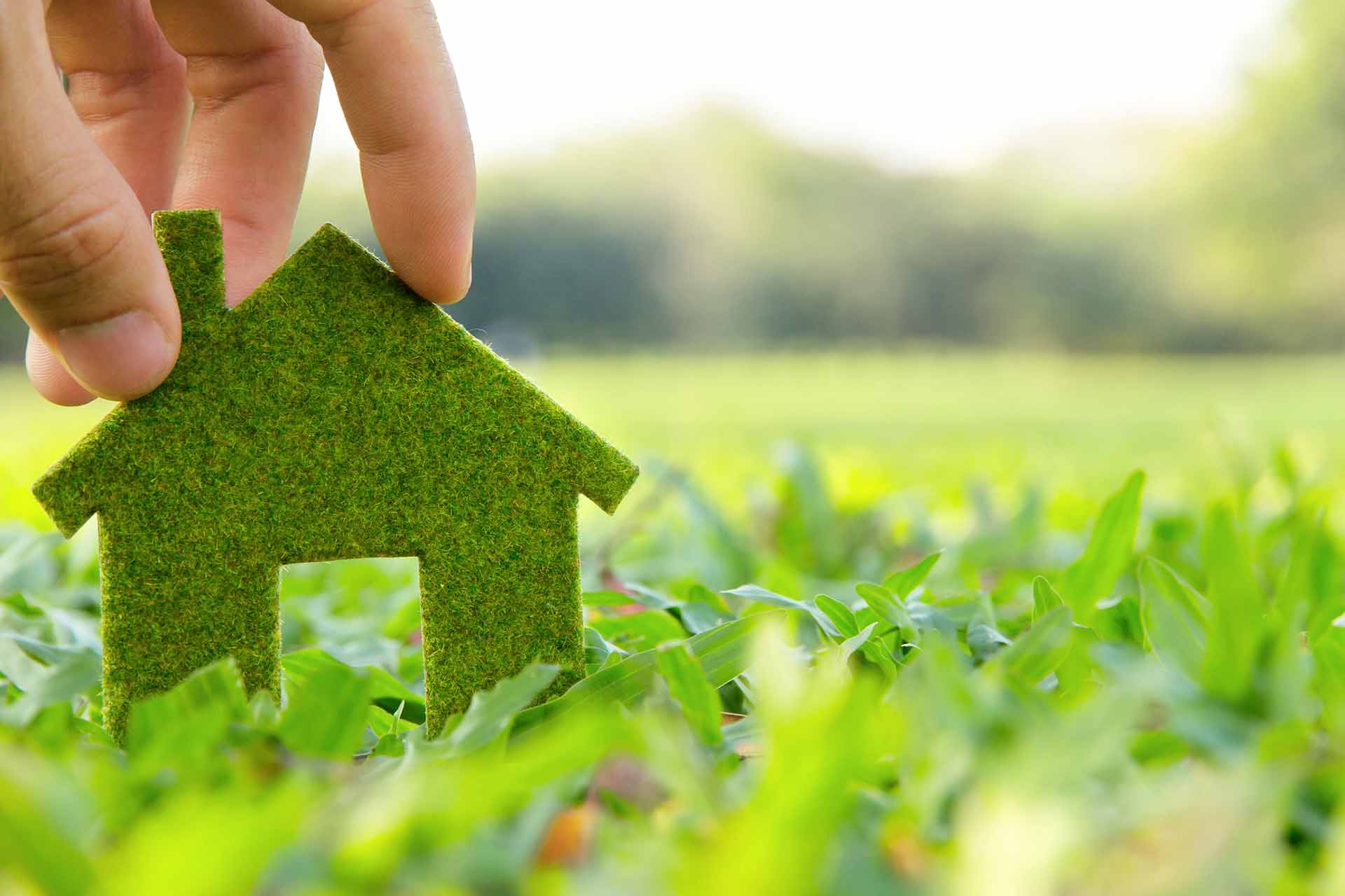 Eco house guide: How to go green